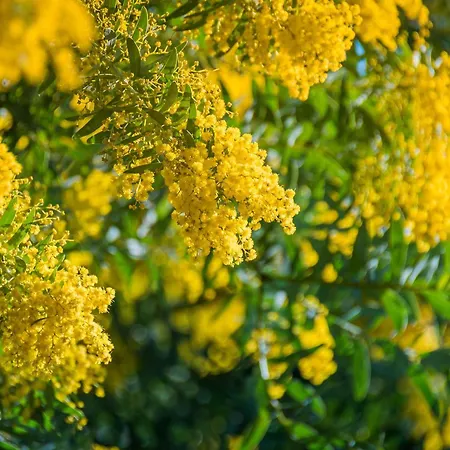 Lägenhet Lumineux 2 Pieces, Climatise, Proche A Saint-raphael - Fr-1-226a-206